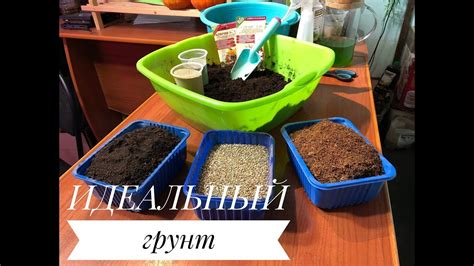 Качественный грунт для рассады - YouTube