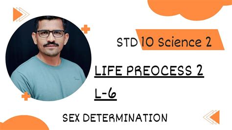 Fertilization Sex Determination YouTube