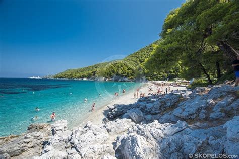 skopelos kastani beach Skopelos beaches, SKOPELOS.COM