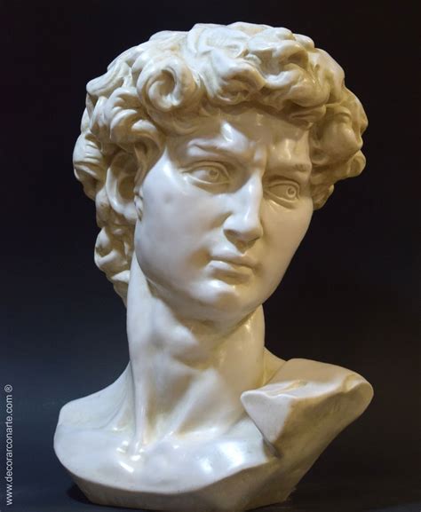 Cabeza De David De Miguel Ngel Buonarroti Escultura Realizada En