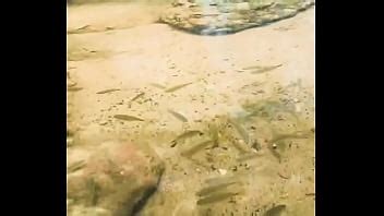 Pezinhos Peixinhos Xvideos