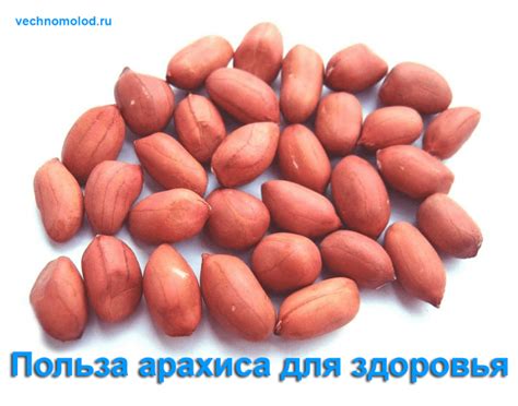 Арахис - польза для здоровья и продления жизни
