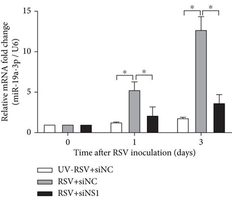 RSV NS1 Protein Upregulates The Expression Of MiR 19a 3p In A549 Cells