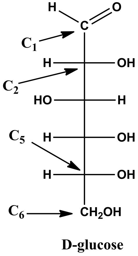 Explain What Is Meant By The Pyranose Structure Of Glucose