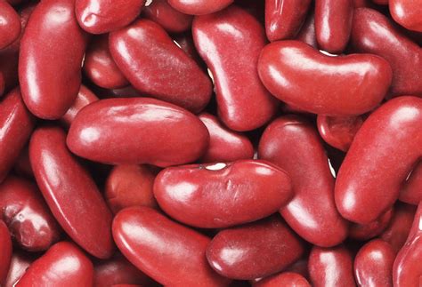 Beneficios De Los Frijoles Migenacol