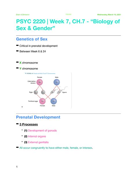 Psyc 2220 Week 7 Ch7 Lecture Notes Psyc 2220 Week 7 Ch