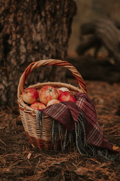 A Selective Focus on Apples in a Basket · Free Stock Photo