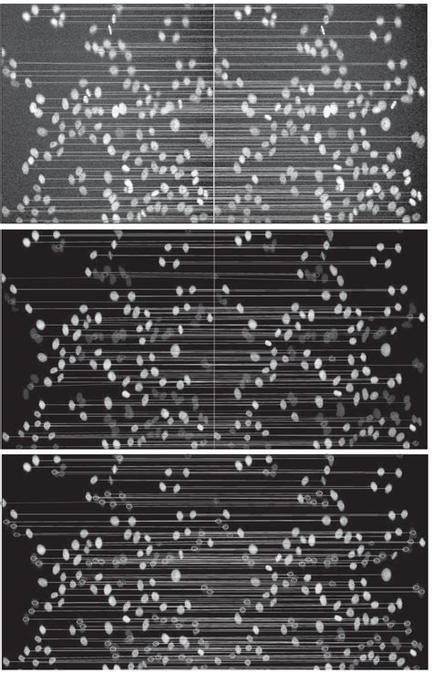 Identified correspondences of a nearest neighbor tracking algorithm ...