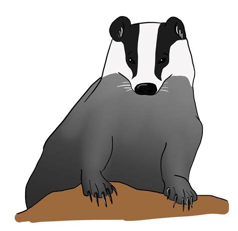 European Badger Species in Storys of Port Robail | World Anvil