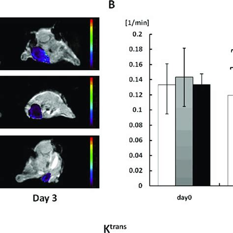 A Representative K Trans Parametric Maps Of Female Athymic Nude Mice