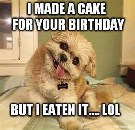 happy birthday puppies meme