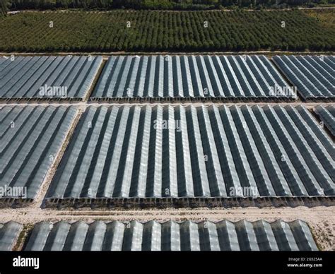 Vista Aérea De Drones Enormes áreas De Invernadero Para El Cultivo De