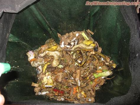 Worm Inn Journal Red Worm Composting