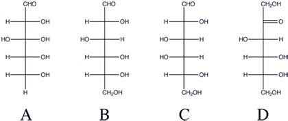 Solved Which structure(s) represent reducing sugar(s)?a. Db. | Chegg.com