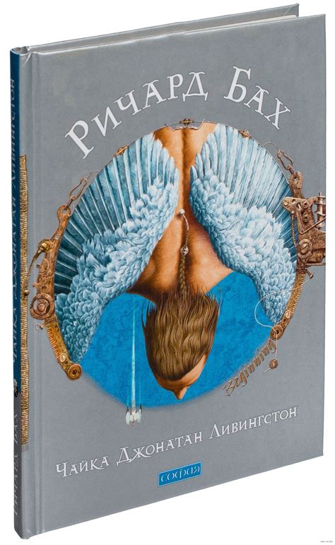 Чайка Джонатан Ливингстон (Бах Ричард) – Sadko