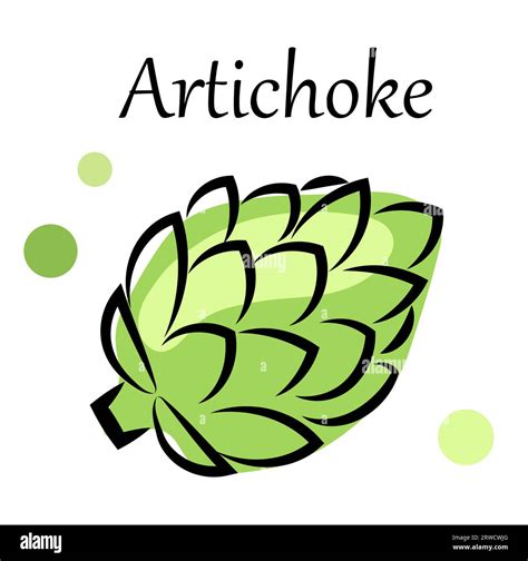 Tasty Artichoke Stock Vector Images Alamy