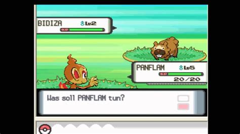 Lets Play Pokemon Perl Hd German Train Eli Youtube