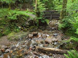 Woodland Stream Near Kinlochmore Malc Mcdonald Cc By Sa