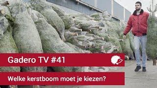 Grote Kerstboom Kopen Bekijk Alle Aanbiedingen Gadero Be