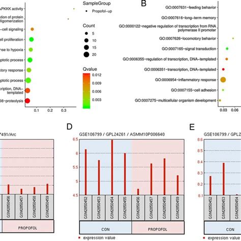 Bioinformatics Analysis For Effects Of Propofol On The Gene Expression