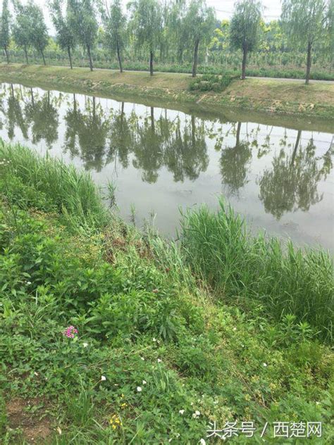 今晨，宿遷一男子連人帶車「沖」進河裏！ 每日頭條