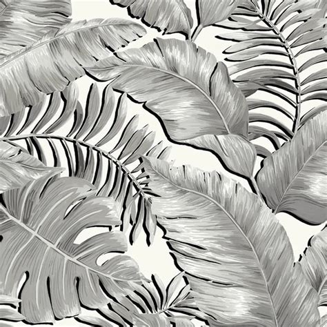 banana leaves standard wallpaper wallpaper lane