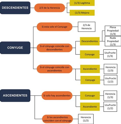 Derecho Sucesoral Mapa Conceptual Porn Sex Picture