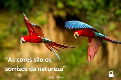 Frases Sobre P Ssaros E Natureza