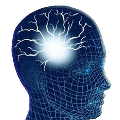 Human Brain Png Image Purepng Free Transparent Cc0 Png Image Library