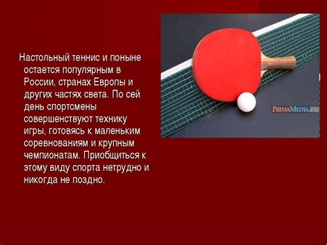 Настольный теннис - Инвентарь и правила - Особенности