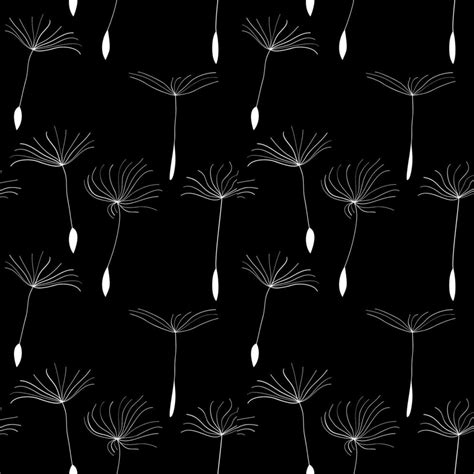 White dandelion seeds on black background 12701878 Vector Art at Vecteezy