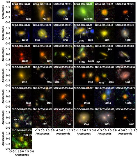 Sub Millimetre Galaxies With Webb Near Infrared Counterparts And