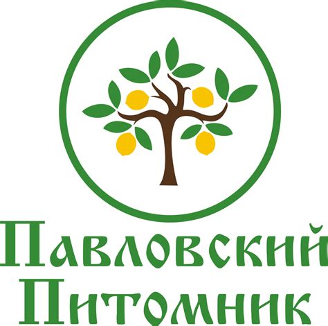 Саженцы лимонов из Павлово - Павловский Питомник
