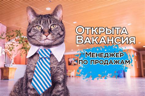 Спецодежда в Самаре в каталоге "Сириус-Спецодежда"