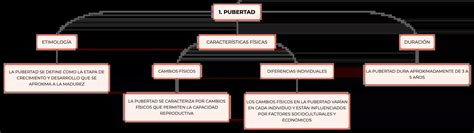 Pubertad Y Adolescencia Mapa Conceptual Y Resúmen Algor Cards