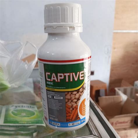 Jual Fungisida CAPTIVE 200SC Basmi Bulai Pada Jagung Dan Antraknosa