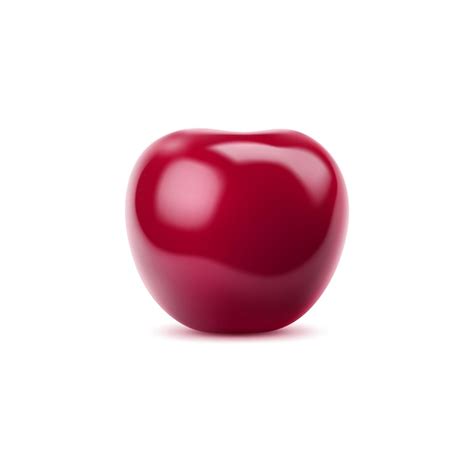 Premium Vector Realistic Isolated Ripe Cherry Berry With Red Skin