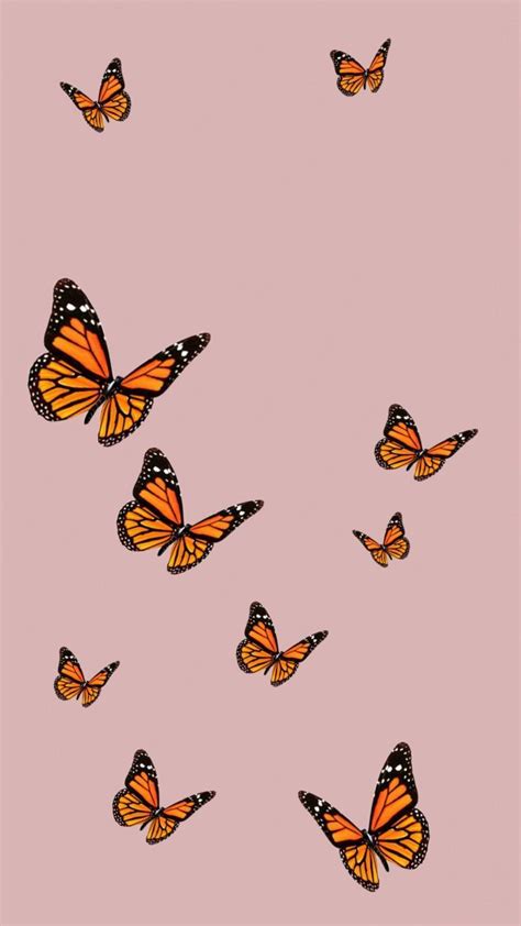 Vintage Butterfly Wallpapers Wallpaper Cave