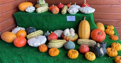 Roger G Xbm S Mainly Amateur Radio Blog Vegetables Not Amateur Radio