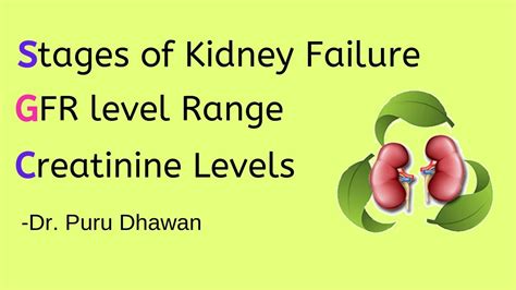 Stages Of Kidney Failure GFR Level Range Creatinine Levels, 51% OFF