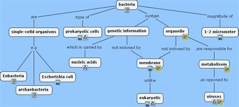 Ihmc Cmaptools Concept Map Bacteria