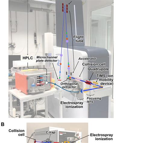 Pdf A Beginners Guide To Mass Spectrometrybased Proteomics