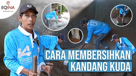 Ini Dia Cara Membersihkan Kandang Kuda YouTube