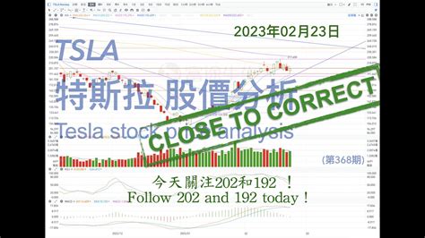 Tsla 特斯拉 股票价格走势的分析 2023年02月23日（第368期） Tesla K线技术分析 Youtube