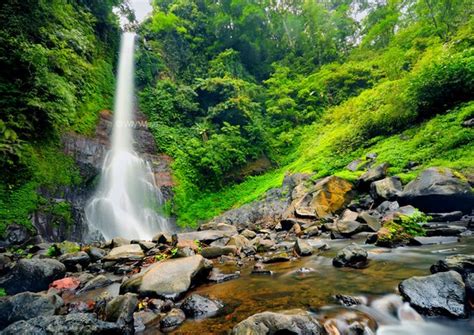 Inilah 50 Objek Wisata Andalan Di Kabupaten Buleleng Bali Yang Harus Di