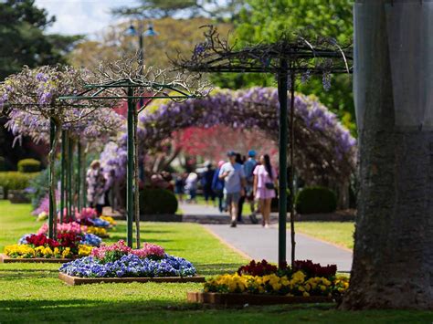 Toowoomba Flower Festival 2018 Parade | Best Flower Site