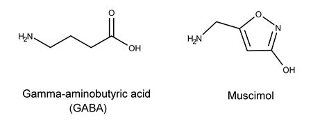 Muscimol Psychedelic Science Review