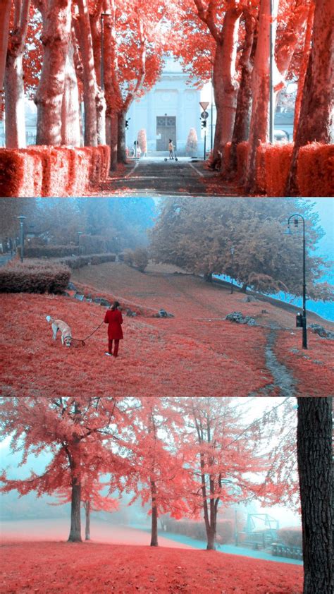 Infrared Photography Kolari Vision Infrared Pocket Camera Artofit