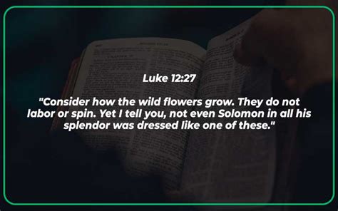 Luke Meaning And Commentary Scripture Savvy