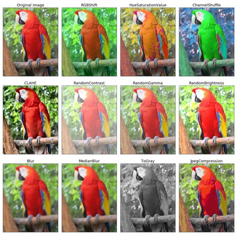 Albumentations - Рубрика - PVSM.RU